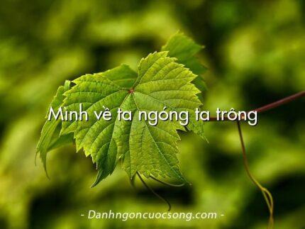 Mình về ta ngóng ta trông