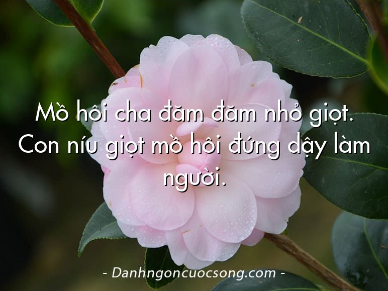 Mồ hôi cha đăm đăm nhỏ giọt. Con níu giọt mồ hôi đứng dậy làm người.