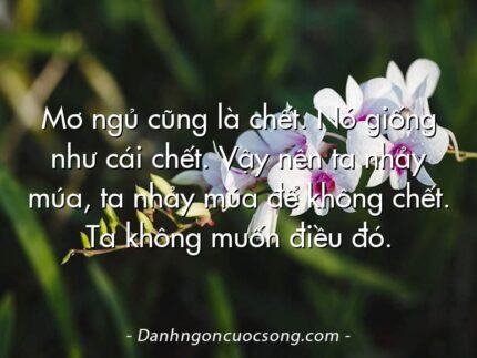 Mơ ngủ cũng là chết. Nó giống như cái chết. Vậy nên ta nhảy múa, ta nhảy múa để không chết. Ta không muốn điều đó.