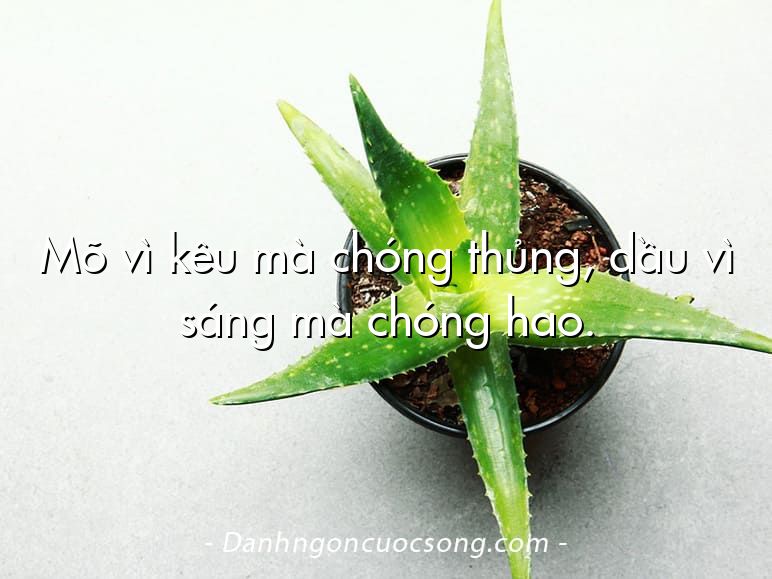 Mõ vì kêu mà chóng thủng, dầu vì sáng mà chóng hao.