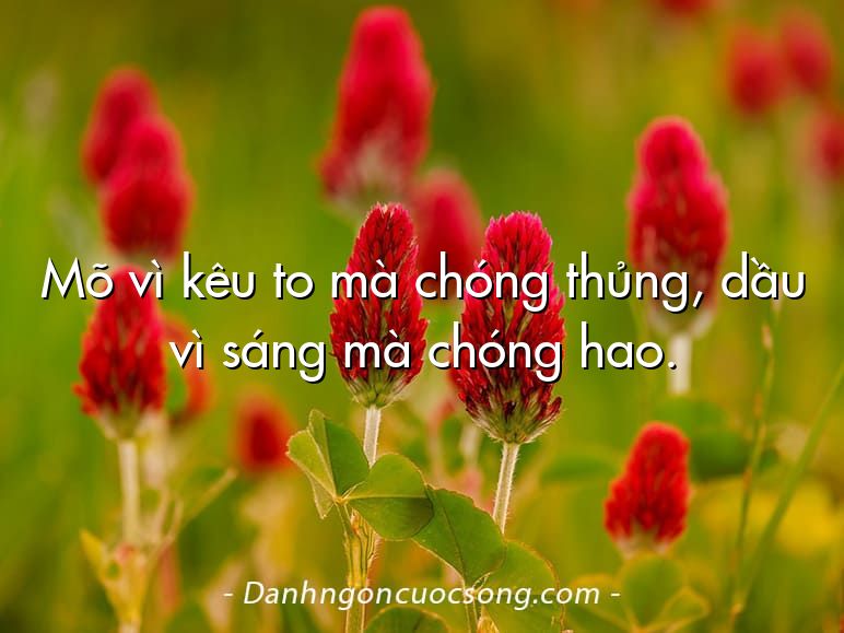 Mõ vì kêu to mà chóng thủng, dầu vì sáng mà chóng hao.