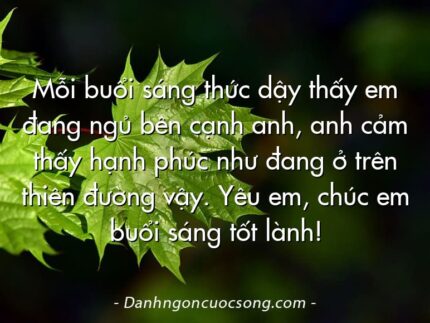 Mỗi buổi sáng thức dậy thấy em đang ngủ bên cạnh anh, anh cảm thấy hạnh phúc như đang ở trên thiên đường vậy. Yêu em, chúc em buổi sáng tốt lành!