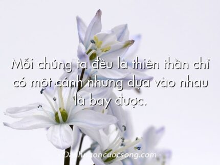 Mỗi chúng ta đều là thiên thần chỉ có một cánh nhưng dựa vào nhau là bay được.