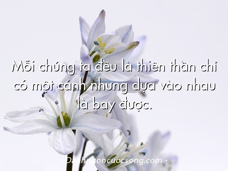 Mỗi chúng ta đều là thiên thần chỉ có một cánh nhưng dựa vào nhau là bay được.