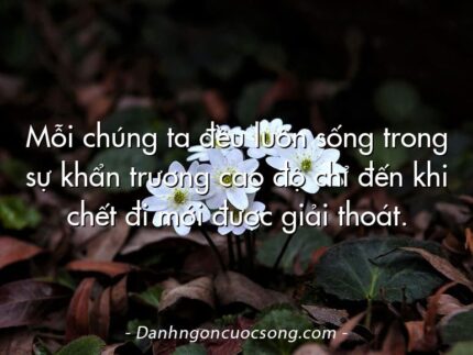 Mỗi chúng ta đều luôn sống trong sự khẩn trương cao độ chỉ đến khi chết đi mới được giải thoát.