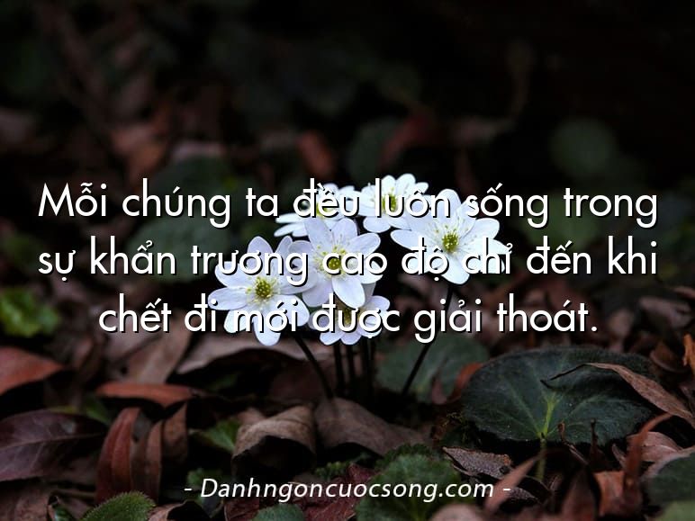 Mỗi chúng ta đều luôn sống trong sự khẩn trương cao độ chỉ đến khi chết đi mới được giải thoát.