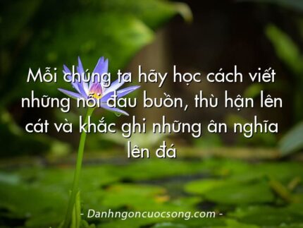 Mỗi chúng ta hãy học cách viết những nỗi đau buồn, thù hận lên cát và khắc ghi những ân nghĩa lên đá