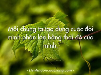 Mỗi chúng ta tạo dựng cuộc đời mình phần lớn bằng thái độ của mình.