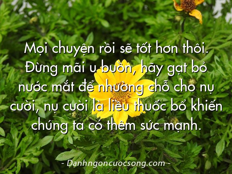 Mọi chuyện rồi sẽ tốt hơn thôi. Đừng mãi u buồn, hãy gạt bỏ nước mắt để nhường chỗ cho nụ cười, nụ cười là liều thuốc bổ khiến chúng ta có thêm sức mạnh.