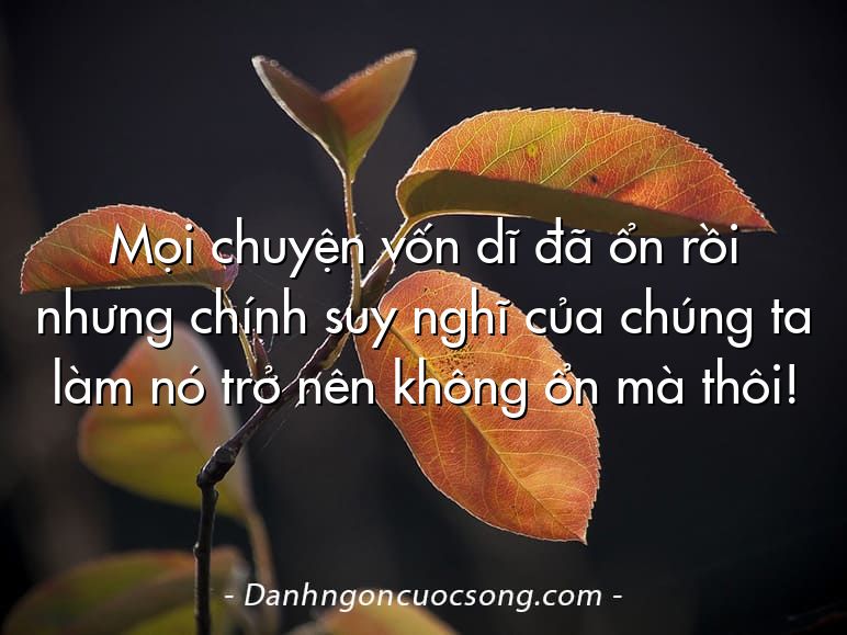 Mọi chuyện vốn dĩ đã ổn rồi nhưng chính suy nghĩ của chúng ta làm nó trở nên không ổn mà thôi!