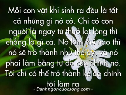 Mỗi con vật khi sinh ra đều là tất cả những gì nó có. Chỉ có con người là ngay từ thuở lọt lòng thì chẳng là gì cả. Nó làm thế nào thì nó sẽ trở thành như thế ấy, và nó phải làm bằng tự do của chính nó. Tôi chỉ có thể trở thành kẻ do chính tôi làm ra