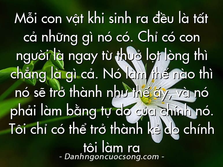 Mỗi con vật khi sinh ra đều là tất cả những gì nó có. Chỉ có con người là ngay từ thuở lọt lòng thì chẳng là gì cả. Nó làm thế nào thì nó sẽ trở thành như thế ấy, và nó phải làm bằng tự do của chính nó. Tôi chỉ có thể trở thành kẻ do chính tôi làm ra