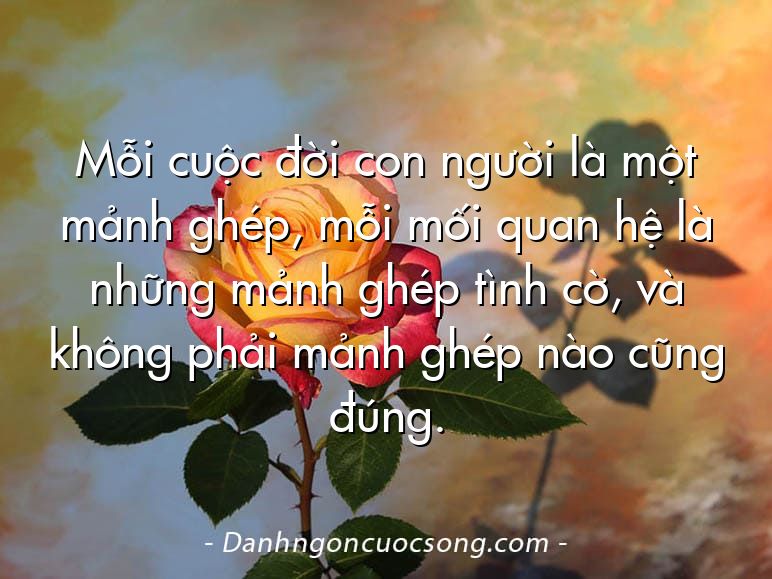 Mỗi cuộc đời con người là một mảnh ghép, mỗi mối quan hệ là những mảnh ghép tình cờ, và không phải mảnh ghép nào cũng đúng.