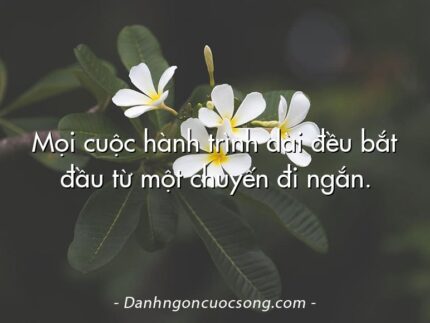 Mọi cuộc hành trình dài đều bắt đầu từ một chuyến đi ngắn. 