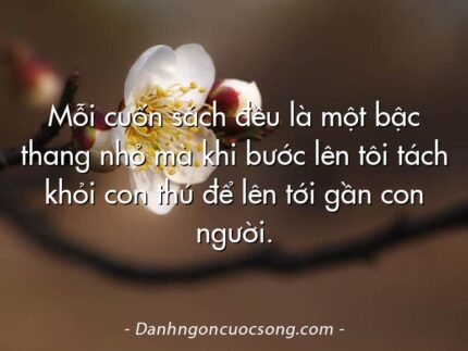 Mỗi cuốn sách đều là một bậc thang nhỏ mà khi bước lên tôi tách khỏi con thú để lên tới gần con người.