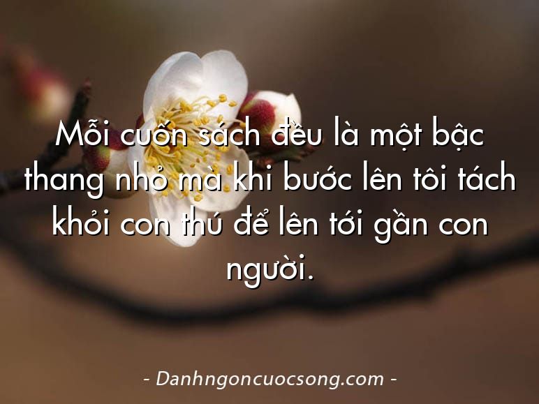 Mỗi cuốn sách đều là một bậc thang nhỏ mà khi bước lên tôi tách khỏi con thú để lên tới gần con người.