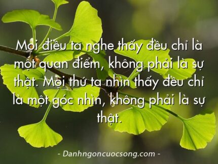 Mọi điều ta nghe thấy đều chỉ là một quan điểm, không phải là sự thật. Mọi thứ ta nhìn thấy đều chỉ là một góc nhìn, không phải là sự thật.