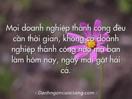 Mọi doanh nghiệp thành công đều cần thời gian, không có doanh nghiệp thành công nào mà bạn làm hôm nay, ngày mai gặt hái cả.
