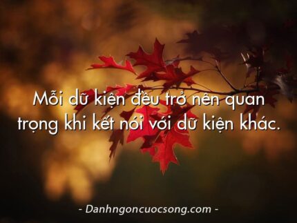 Mỗi dữ kiện đều trở nên quan trọng khi kết nói với dữ kiện khác.