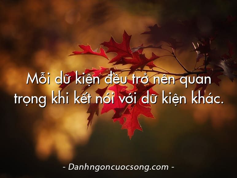 Mỗi dữ kiện đều trở nên quan trọng khi kết nói với dữ kiện khác.