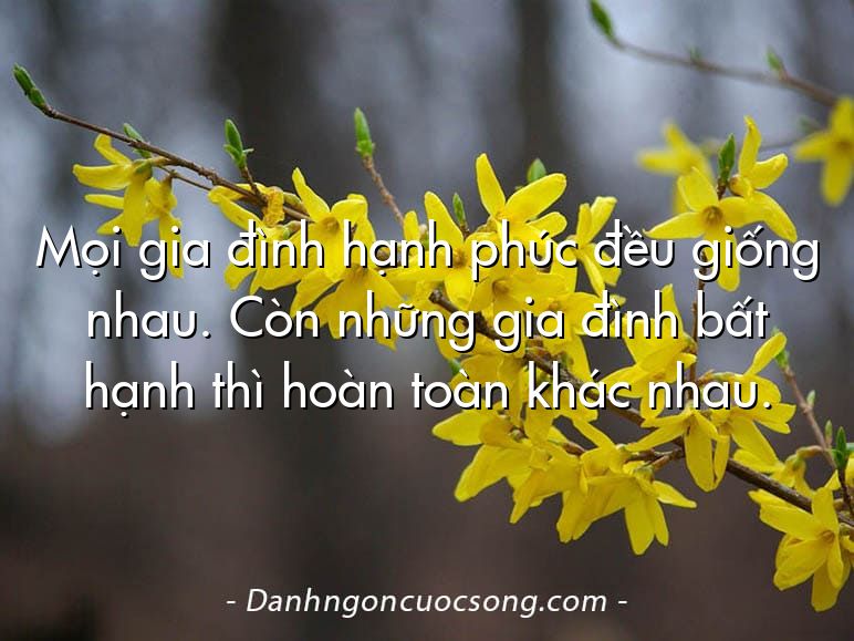 Mọi gia đình hạnh phúc đều giống nhau. Còn những gia đình bất hạnh thì hoàn toàn khác nhau.