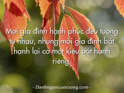 Mọi gia đình hạnh phúc đều tương tự nhau, nhưng mỗi gia đình bất hạnh lại có một kiểu bất hạnh riêng.
