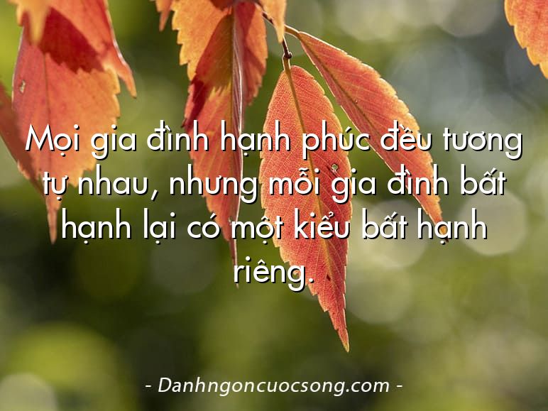 Mọi gia đình hạnh phúc đều tương tự nhau, nhưng mỗi gia đình bất hạnh lại có một kiểu bất hạnh riêng.