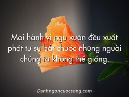 Mọi hành vi ngu xuẩn đều xuất phát tự sự bắt chước những người chúng ta không thể giống.