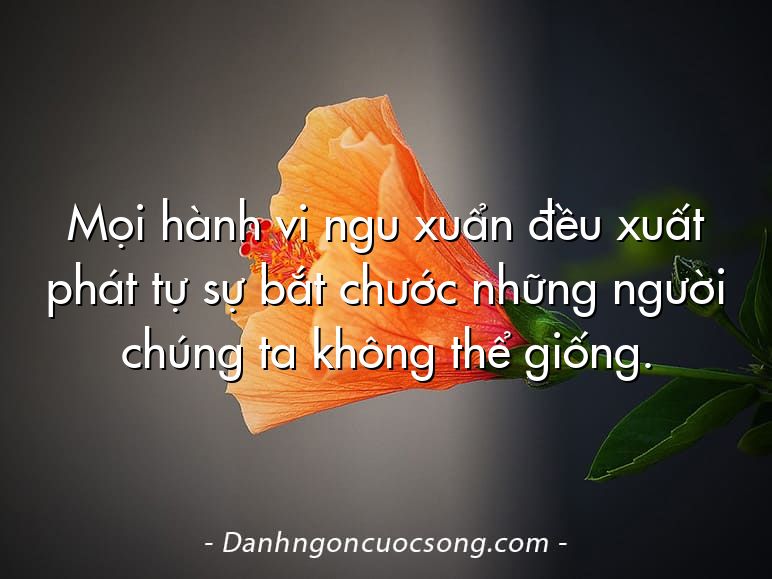 Mọi hành vi ngu xuẩn đều xuất phát tự sự bắt chước những người chúng ta không thể giống.