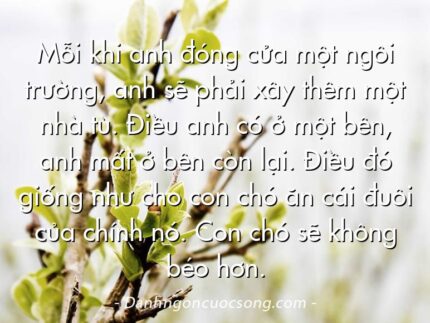 Mỗi khi anh đóng cửa một ngôi trường, anh sẽ phải xây thêm một nhà tù. Điều anh có ở một bên, anh mất ở bên còn lại. Điều đó giống như cho con chó ăn cái đuôi của chính nó. Con chó sẽ không béo hơn.
