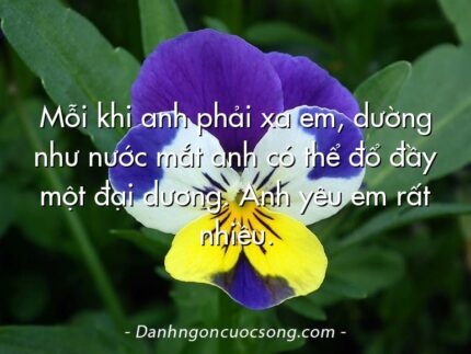 Mỗi khi anh phải xa em, dường như nước mắt anh có thể đổ đầy một đại dương. Anh yêu em rất nhiều.