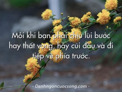 Mỗi khi bạn phải chịu lùi bước hay thất vọng, hãy cúi đầu và đi tiếp về phía trước.