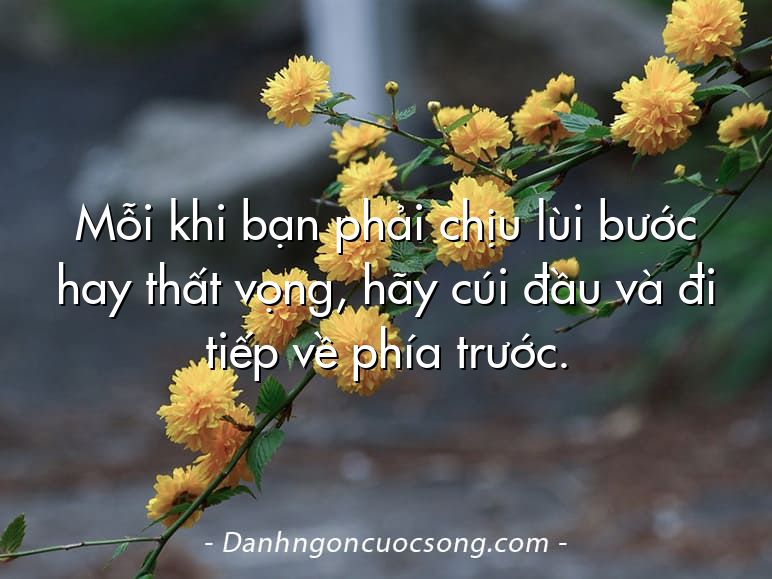 Mỗi khi bạn phải chịu lùi bước hay thất vọng, hãy cúi đầu và đi tiếp về phía trước.