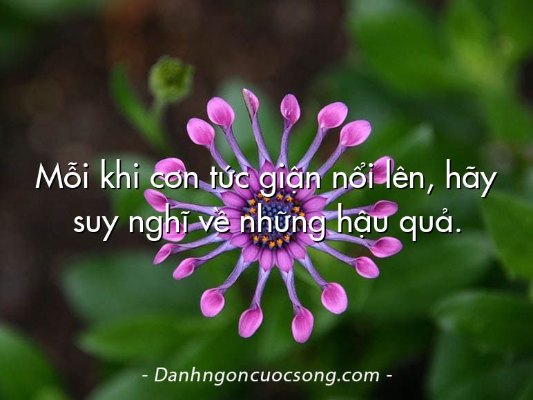 Mỗi khi cơn tức giận nổi lên, hãy suy nghĩ về những hậu quả.