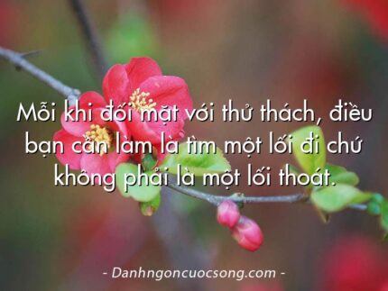 Mỗi khi đối mặt với thử thách, điều bạn cần làm là tìm một lối đi chứ không phải là một lối thoát.