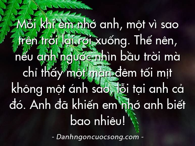 Mỗi khi em nhớ anh, một vì sao trên trời lại rơi xuống. Thế nên, nếu anh ngước nhìn bầu trời mà chỉ thấy một màn đêm tối mịt không một ánh sao, lỗi tại anh cả đó. Anh đã khiến em nhớ anh biết bao nhiêu!