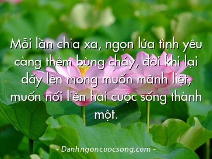 Mỗi lần chia xa, ngọn lửa tình yêu càng thêm bùng cháy, đôi khi lại dấy lên mong muốn mãnh liệt, muốn nối liền hai cuộc sống thành một.  
