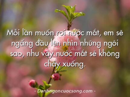 Mỗi lần muốn rơi nước mắt, em sẽ ngẩng đầu lên nhìn những ngôi sao, như vậy nước mắt sẽ không chảy xuống.