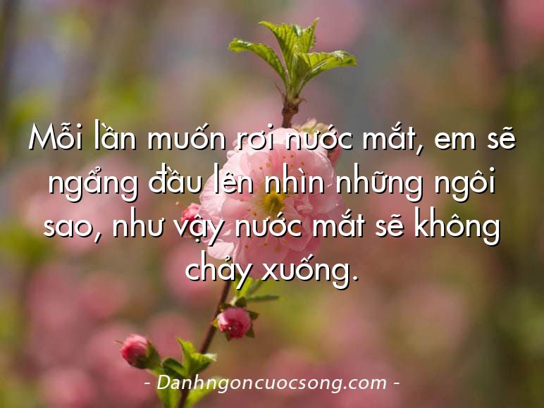 Mỗi lần muốn rơi nước mắt, em sẽ ngẩng đầu lên nhìn những ngôi sao, như vậy nước mắt sẽ không chảy xuống.