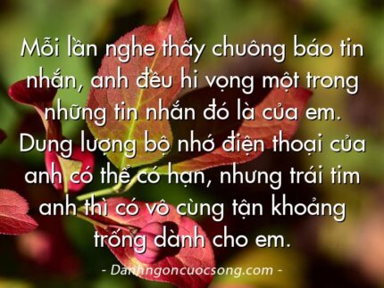 Mỗi lần nghe thấy chuông báo tin nhắn, anh đều hi vọng một trong những tin nhắn đó là của em. Dung lượng bộ nhớ điện thoại của anh có thể có hạn, nhưng trái tim anh thì có vô cùng tận khoảng trống dành cho em.