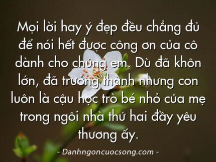 Mọi lời hay ý đẹp đều chẳng đủ để nói hết được công ơn của cô dành cho chúng em. Dù đã khôn lớn, đã trưởng thành nhưng con luôn là cậu học trò bé nhỏ của mẹ trong ngôi nhà thứ hai đầy yêu thương ấy.