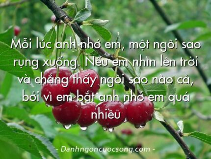 Mỗi lúc anh nhớ em, một ngôi sao rụng xuống. Nếu em nhìn lên trời và chẳng thấy ngôi sao nào cả, bởi vì em bắt anh nhớ em quá nhiều