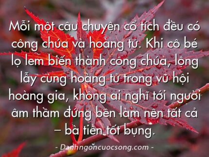 Mỗi một câu chuyện cổ tích đều có công chúa và hoàng tử. Khi cô bé lọ lem biến thành công chúa, lộng lẫy cùng hoàng tử trong vũ hội hoàng gia, không ai nghĩ tới người âm thầm đứng bên làm nên tất cả – bà tiên tốt bụng.