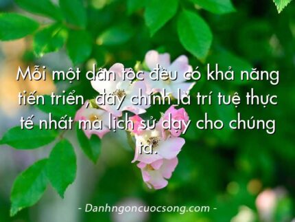 Mỗi một dân tộc đều có khả năng tiến triển, đây chính là trí tuệ thực tế nhất mà lịch sử dạy cho chúng ta.