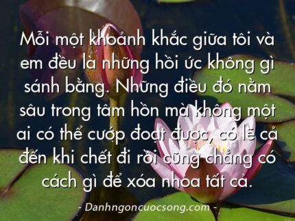 Mỗi một khoảnh khắc giữa tôi và em đều là những hồi ức không gì sánh bằng. Những điều đó nằm sâu trong tâm hồn mà không một ai có thể cướp đoạt được, có lẽ cả đến khi chết đi rồi cũng chẳng có cách gì để xóa nhòa tất cả.