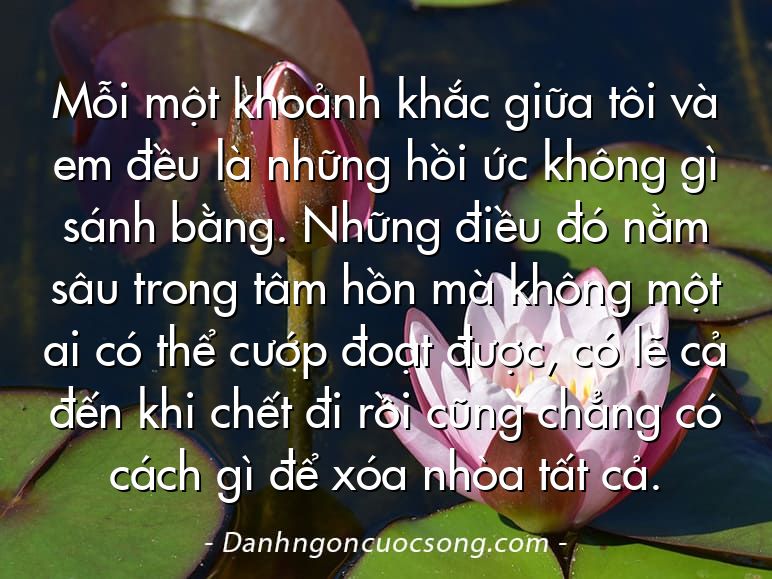 Mỗi một khoảnh khắc giữa tôi và em đều là những hồi ức không gì sánh bằng. Những điều đó nằm sâu trong tâm hồn mà không một ai có thể cướp đoạt được, có lẽ cả đến khi chết đi rồi cũng chẳng có cách gì để xóa nhòa tất cả.