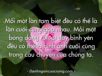 Mỗi một lần tạm biệt đều có thể là lần cuối cùng gặp nhau. Mỗi một bóng dáng rời xa đầy bình yên đều có thể là hình ảnh cuối cùng trong câu chuyện của chúng ta.