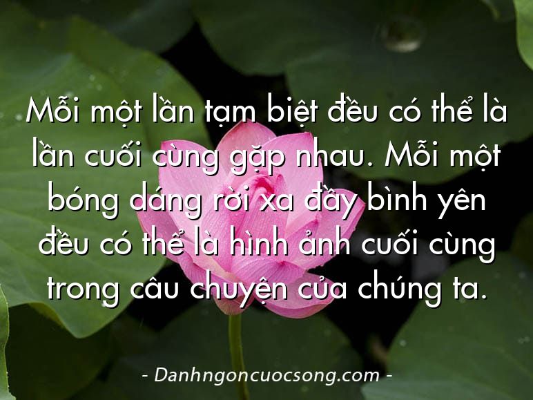 Mỗi một lần tạm biệt đều có thể là lần cuối cùng gặp nhau. Mỗi một bóng dáng rời xa đầy bình yên đều có thể là hình ảnh cuối cùng trong câu chuyện của chúng ta.