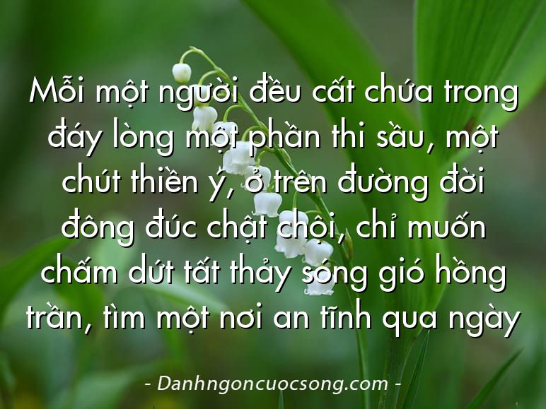 Mỗi một người đều cất chứa trong đáy lòng một phần thi sầu, một chút thiền ý, ở trên đường đời đông đúc chật chội, chỉ muốn chấm dứt tất thảy sóng gió hồng trần, tìm một nơi an tĩnh qua ngày