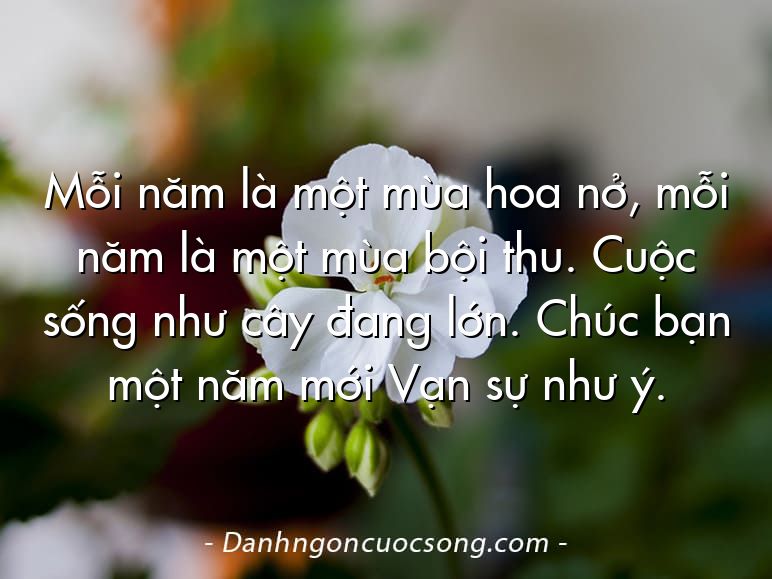 Mỗi năm là một mùa hoa nở, mỗi năm là một mùa bội thu. Cuộc sống như cây đang lớn. Chúc bạn một năm mới Vạn sự như ý.